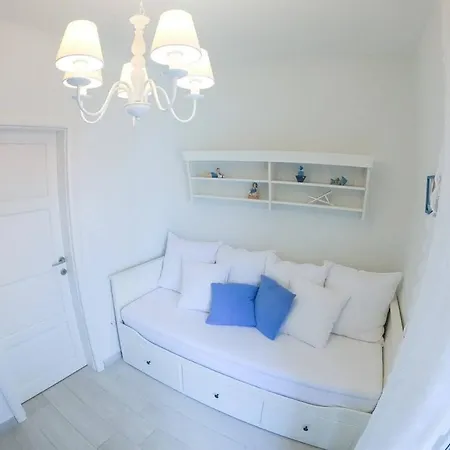& Toni Zadar